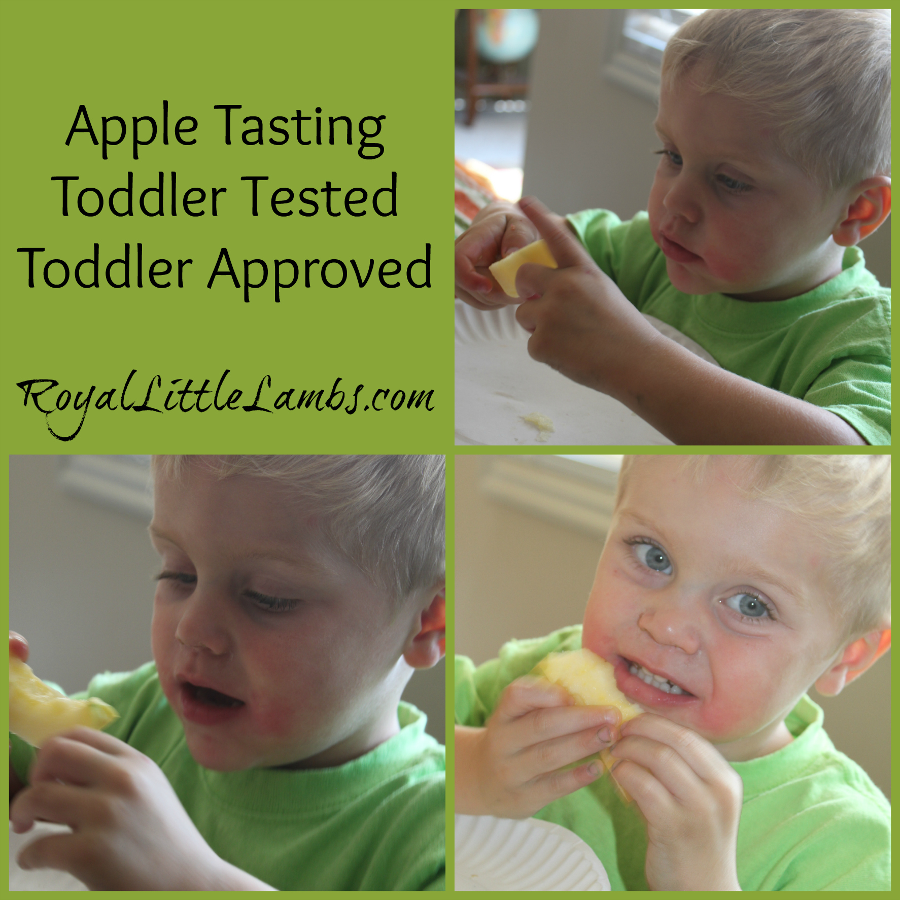 toddler tested