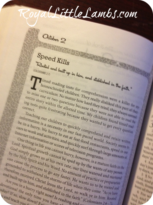 Homeschool Moms Bible