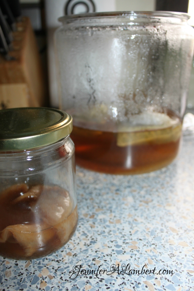 scoby and sweet tea