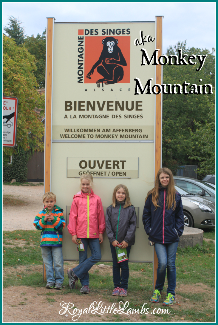 Monkey Mountain