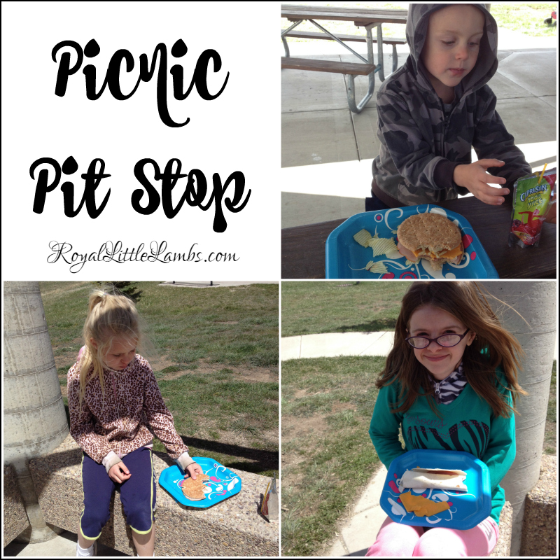 Picnic Pit Stop