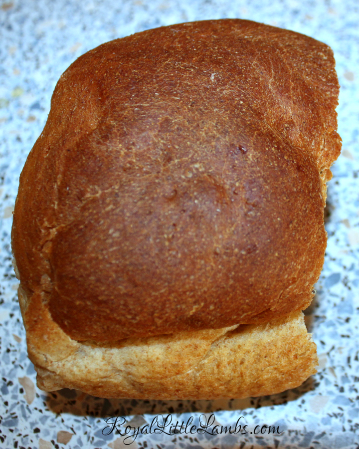 Our Favorite Homemade Wheat Sandwich Bread
