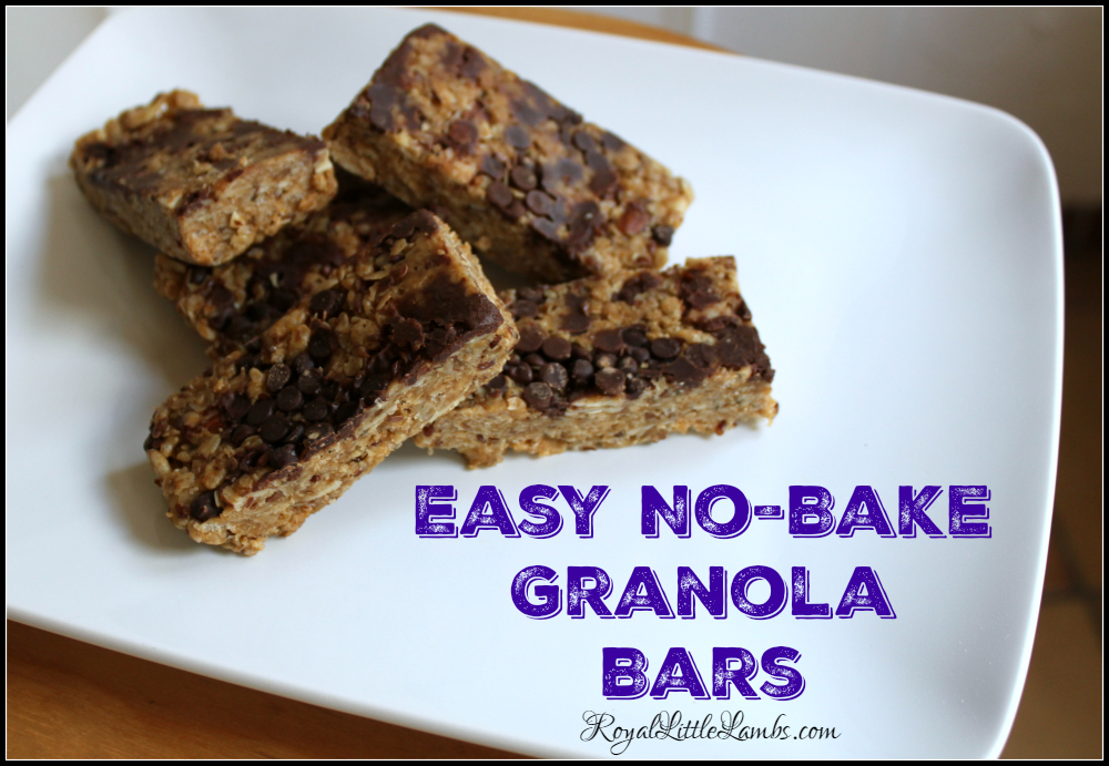 Easy No-Bake Granola Bars