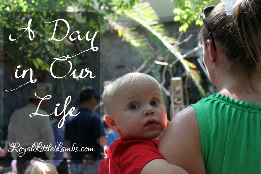 A Day in Our Life | Our Homeschool Schedule