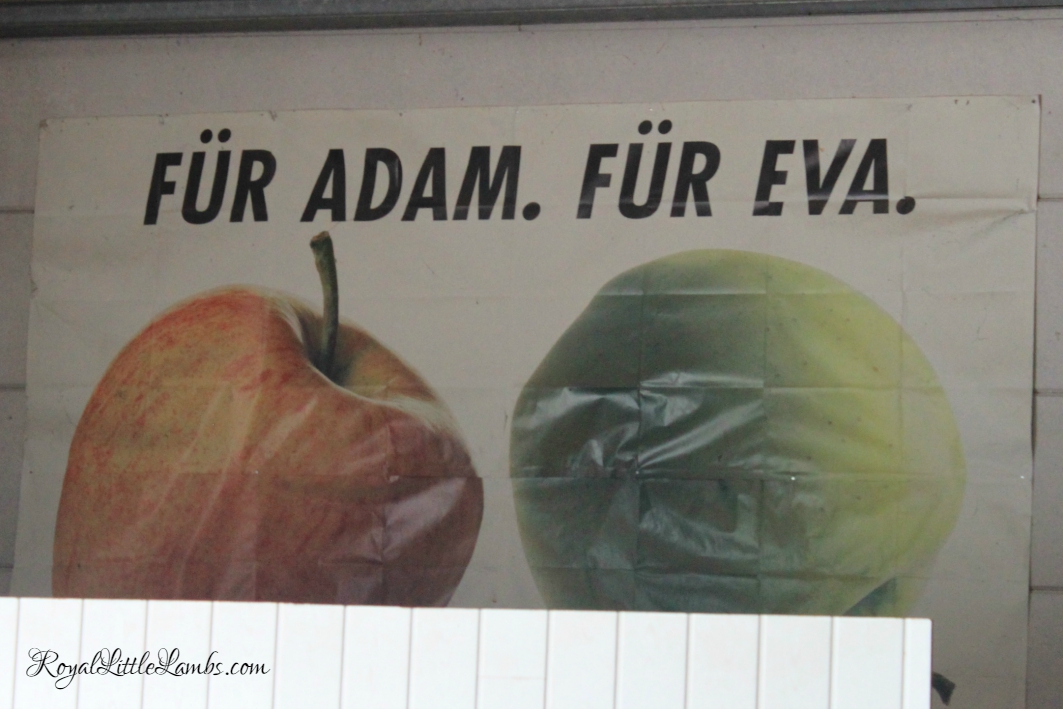 For Adam and Eve