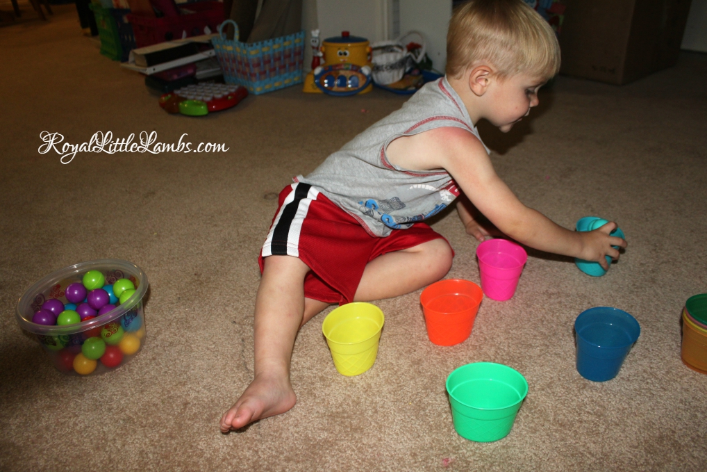 Sorting Ping Pong Balls